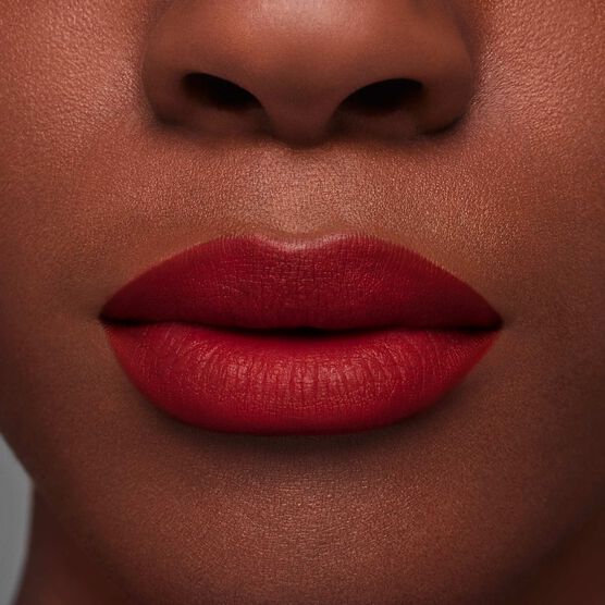 PURE COLOR EST�E LAUDER LIP MATTE 699